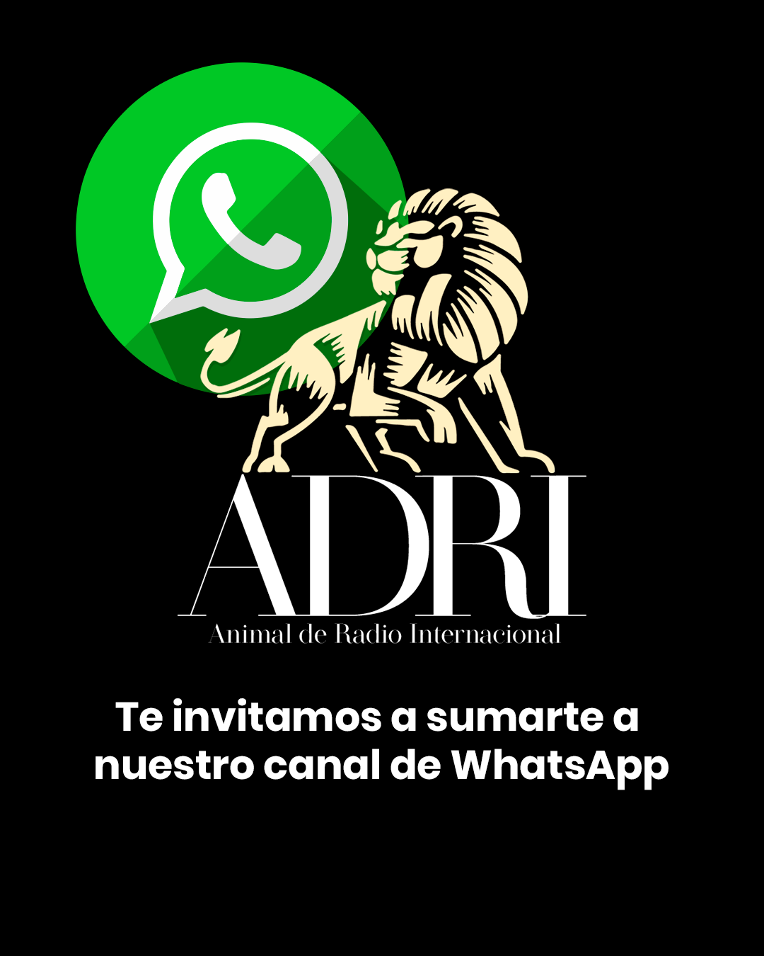 Publicidad